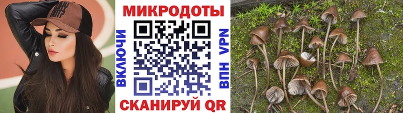 Галлюциногенные грибы Cubensis  мориарти Telegram  Ивдель  что такое  